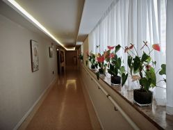 -雪绒花月子会所(祥盛店)