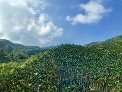 -优游吧斯邹族文化部落