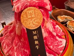 -牛New寿喜烧(金鹰世界店)