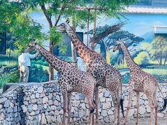 -北京野生动物园