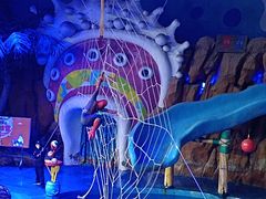 -烟台海昌鲸鲨海洋公园