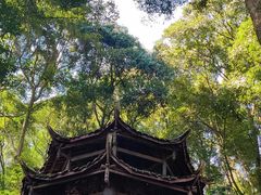 -都江堰普照寺