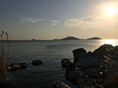 -上海市保健医疗中心(华东疗养院)