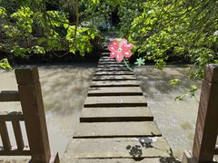 -桤木河湿地公园