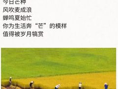 -大班家政月嫂育儿嫂(总部店)