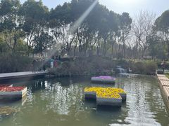 -圩墩遗址公园