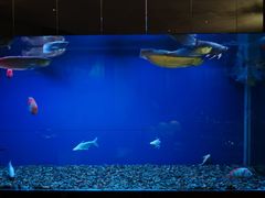 -长赢养生(平度店)