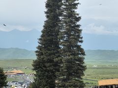 -新疆那拉提国家旅游度假区