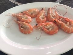 -蚝专家