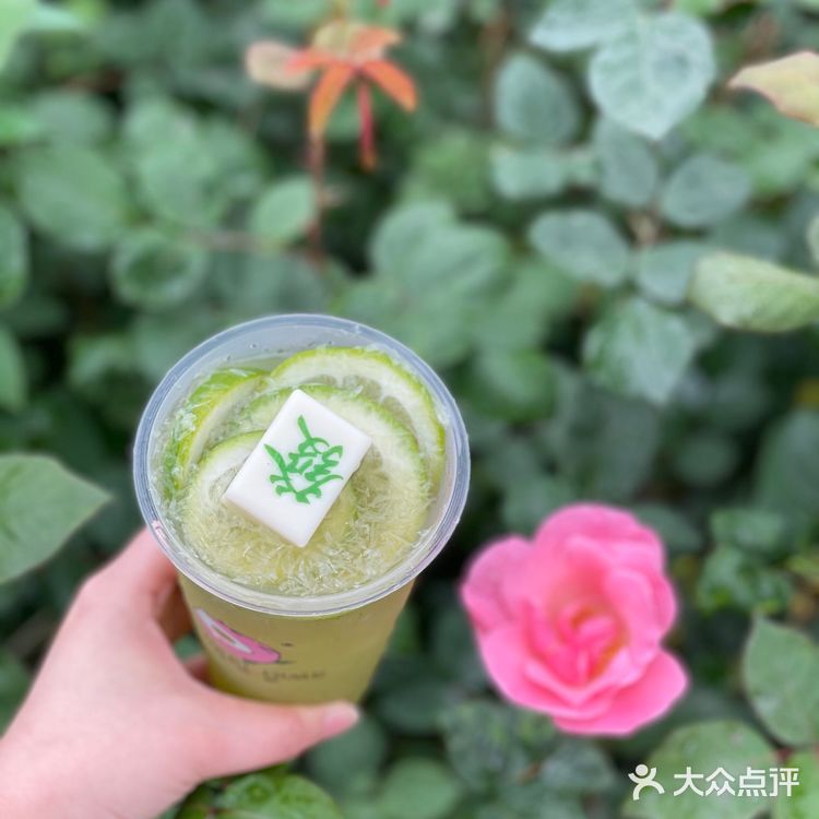 汴京姬带你发发发
