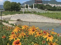 -门城湖公园