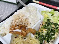 -老凌记广东烧鹅饭(宝利金店)