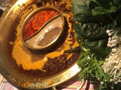 -哥老官重庆美蛙鱼头(宝山龙湖店)