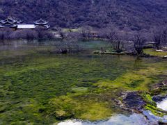 -黄龙山原始森林景区