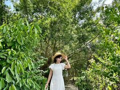 -兴隆槟榔园休闲农庄