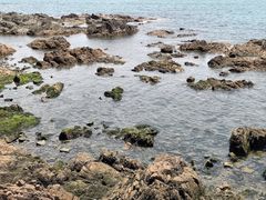 -青岛海滨风景区小青岛