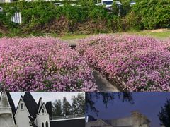 -玫瑰海岸文化旅游度假区