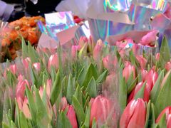 -循礼门鲜花花市(武汉循礼门店)