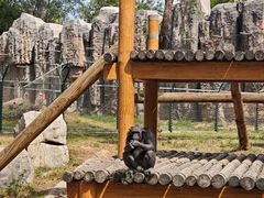 -石家庄市动物园