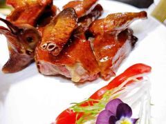 -鹊玥·粤菜小馆(汇智国际商业中心店)