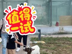 -廊坊固安福朋喜来登酒店