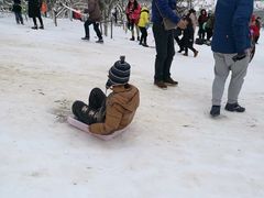 -镇江市南山风景名胜区竹林景区