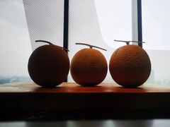 -風料理.鮨Omakase