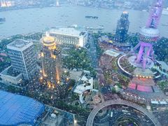 -金轩中餐厅 Jin Xuan(浦东丽思卡尔顿酒店)