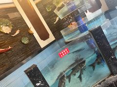 大堂-洞庭渔人(沙湾店)