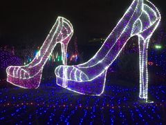 -碧桂园泰富城售楼部