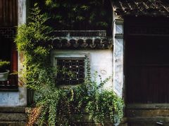 -黎里古镇