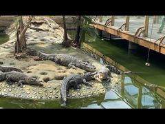 -石家庄市动物园