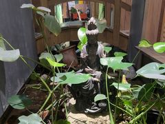 -邈墨茶馆(凤起路店)