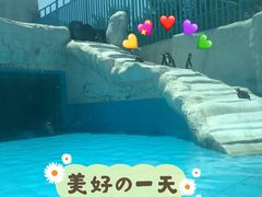 -新疆天山野生动物园