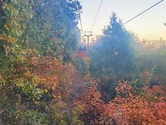 -北京西山国家森林公园