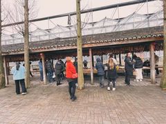 -前小桔亲子创意农场·草莓采摘·露营烧烤