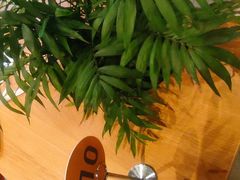 -Wagas沃歌斯(长宁龙之梦店)