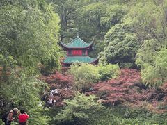 -岳麓山风景名胜区