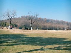 -羊山湖公园
