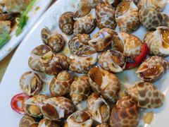 -龙眼南白粥六顺白粥