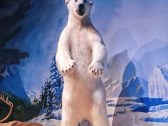 -陕西自然博物馆