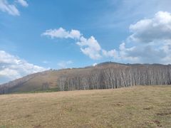 -御道口草原森林风景区