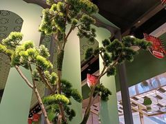-淘蛙(广州荔胜广场店)