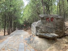 -泰山风景名胜区-普照寺