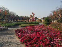 -映月湖公园