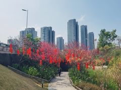 -牛岗山公园