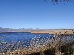 -野鸭湖国家湿地公园