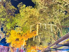 -横店影视城梦幻谷园区