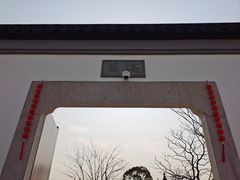 -上海滨江森林公园