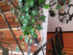 -体育科代表搏击散打体能训练馆(陶然亭店)